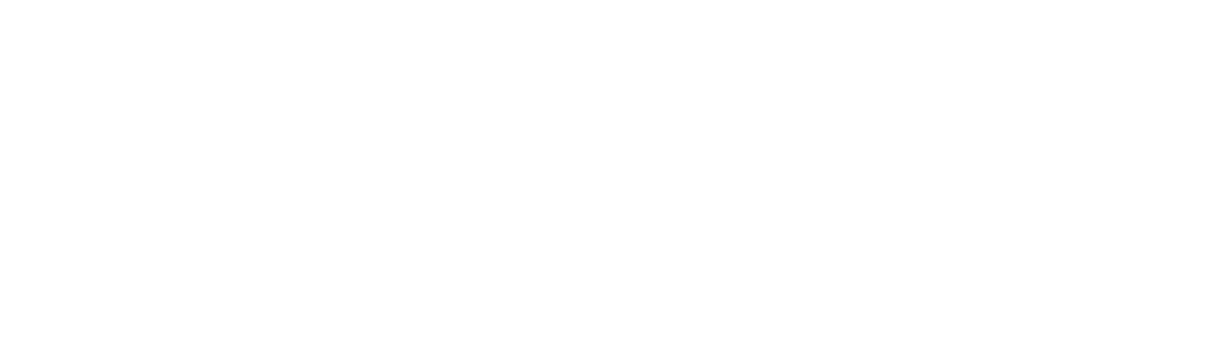 Bridgement Logo White